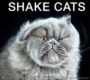 SHAKE CATS - CARLI DAVIDSON