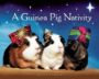 A GUINEA PIG NATIVITY - BLOOMSBURY PUBLISHING
