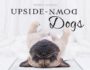 UPSIDE-DOWN DOGS - SERENA HODSON