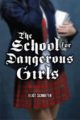 THE SCHOOL FOR DANGEROUS GIRLS - ELIOT SCHREFER