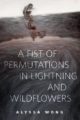 A FIST OF PERMUTATIONS IN LIGHTNING AND WILDFLOWERS - ALYSSA WONG