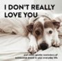 I DON'T REALLY LOVE YOU: AND OTHER GENTLE REMINDERS OF EXISTENTIAL DREAD IN YOUR EVERYDAY LIFE - ALEX BEYER