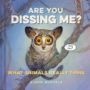ARE YOU DISSING ME?: WHAT ANIMALS REALLY THINK - SIMON WINHELD