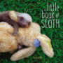 A LITTLE BOOK OF SLOTH - LUCY COOKE