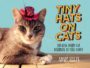 TINY HATS ON CATS: BECAUSE EVERY CAT DESERVES TO FEEL FANCY - ADAM ELLIS
