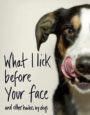 WHAT I LICK BEFORE YOUR FACE...AND OTHER HAIKUS BY DOGS - JAMIE COLEMAN
