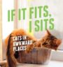 IF IT FITS, I SITS - VARIOUS
