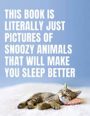 THIS BOOK IS LITERALLY JUST PICTURES OF SNOOZY ANIMALS THAT WILL MAKE YOU SLEEP BETTER - SMITH STREET BOOKS