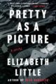PRETTY AS A PICTURE - ELIZABETH LITTLE